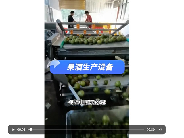 Dc smart charging pile