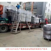 红酒生产线和葡萄酒生产线是同样的吗